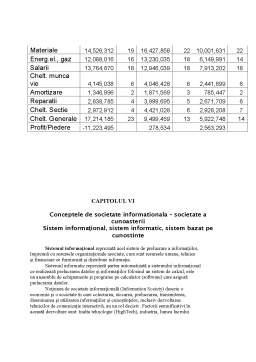 Proiect - Analiza economică a SC Gospodăria Comunală SA