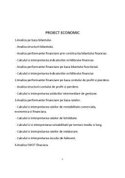 Proiect - Proiect Economic