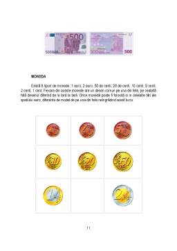 Proiect - Implicațiile introducerii monedei euro asupra politicii monetar-valutare a României