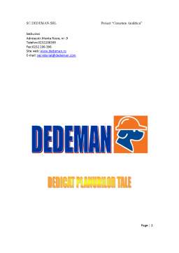 Proiect - Cercetare analitică - Dedeman
