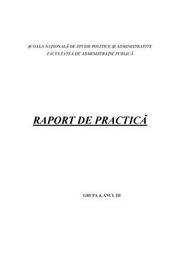 Referat - Raport de practică - Direcția Generală de Dezvoltare în Construcții