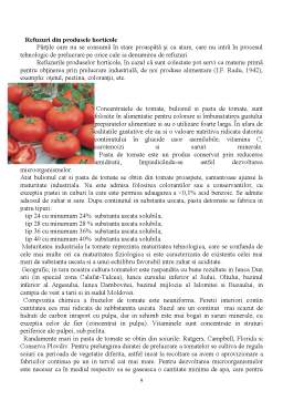 Proiect - Proiect tehnologic - pastă de tomate