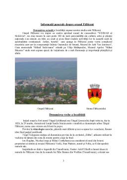 Proiect - Studiu de Evaluare a Resurselor Turistice ale Orașului Fălticeni