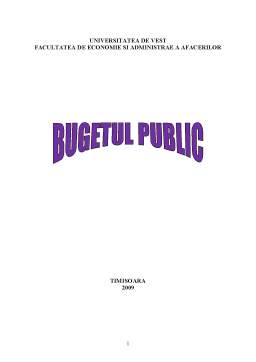 Proiect - Bugetul Public