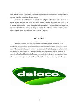 Referat - Promovare Delaco