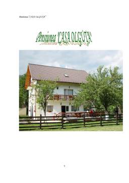 Referat - Prezentarea unui produs turistic rural - pensiunea turistică - Casa Olguța