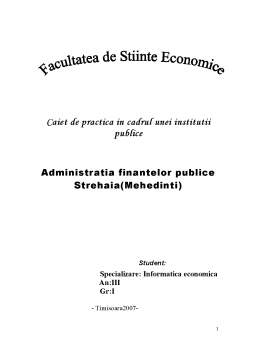 Proiect - Administratia Finantelor Publice Strehaia - Mehedinti