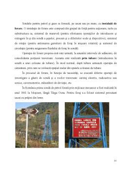 Proiect - Poluarea cu produse petroliere a solurilor în Comuna Vedea, Județul Argeș