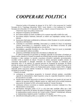 Seminar - Cooperare politică