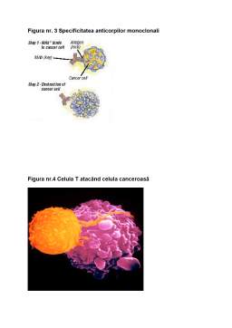 Proiect - Imunoterapia în cancer - posibilități și limite