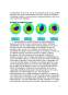 Efectul Reducerii Stratului de Ozon