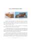 Procesul de achiziție și producție a mașinilor de jucărie din lemn