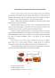 Determinarea Licopenului din Tomate prin Metoda HPLC