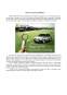Analiza publicitară a 2 mărci - Skoda - Renault