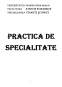 Practică de specialitate - SC Schaeffler România SRL