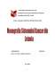 Proiect - Monografia Sistemului Bancar din Letonia