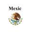Referat - Comerțul din Mexic
