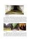 Referat - Potențialul Turistic al Munților Pădurea Craiului