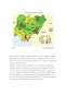 Analiza geodemografică a statelor Italia și Nigeria