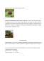 Dezvoltarea Ecoturismului - Parcul Natural Vanatori Neamt
