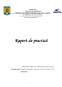Proiect - Raport practică - AJOFM Ilfov
