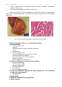 Patologia conținutului scrotal