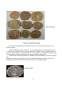 Istoria Monedei Naționale - Leul