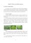 Plan de afaceri - seră de legume SC Agro Impex SRL