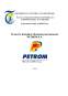 Proiect - Marketing internațional - SC Petrom SA