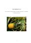 Proiect - Proiectarea unei secții de obținere a compotului de ananas