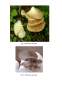 Licență - Contribuții la Studiul Farmacognostic al Speciei Pleurotus Ostreatus