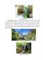 Referat - Dezvoltarea Ecoturismului în Parcul Național Domogled - Valea Cernei