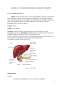 Anatomia și Fiziologia Aparatului Digestiv