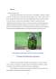 Proiect - Metode de conservare a castraveților prin acidifiere naturală
