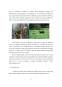 Proiect - Turismul rural - factori de dezvoltare rurală în microzona Vatra Dornei
