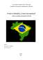 Analiza Comerțului Internațional al Braziliei