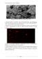 Prepararea Micro și Nanoparticulelor pe Baza de Chitosan