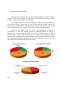 Analiza comparativă a demersurilor publicitare realizate pentru Orange și Vodafone