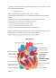 Particularități de Îngrijire a Pacientului cu Infarct Miocardic Acut