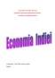 Seminar - Economia Indiei
