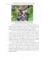Studiul profilului ecologic care caracterizează ecosistemul viticol Stoenești