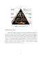 Piramidele alimentare Asiatică, mediteraneană și vegetariană