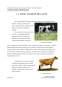 Proiect - Evoluția creșterii taurinelor de lapte