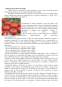 Proiect tehnologic - pastă de tomate