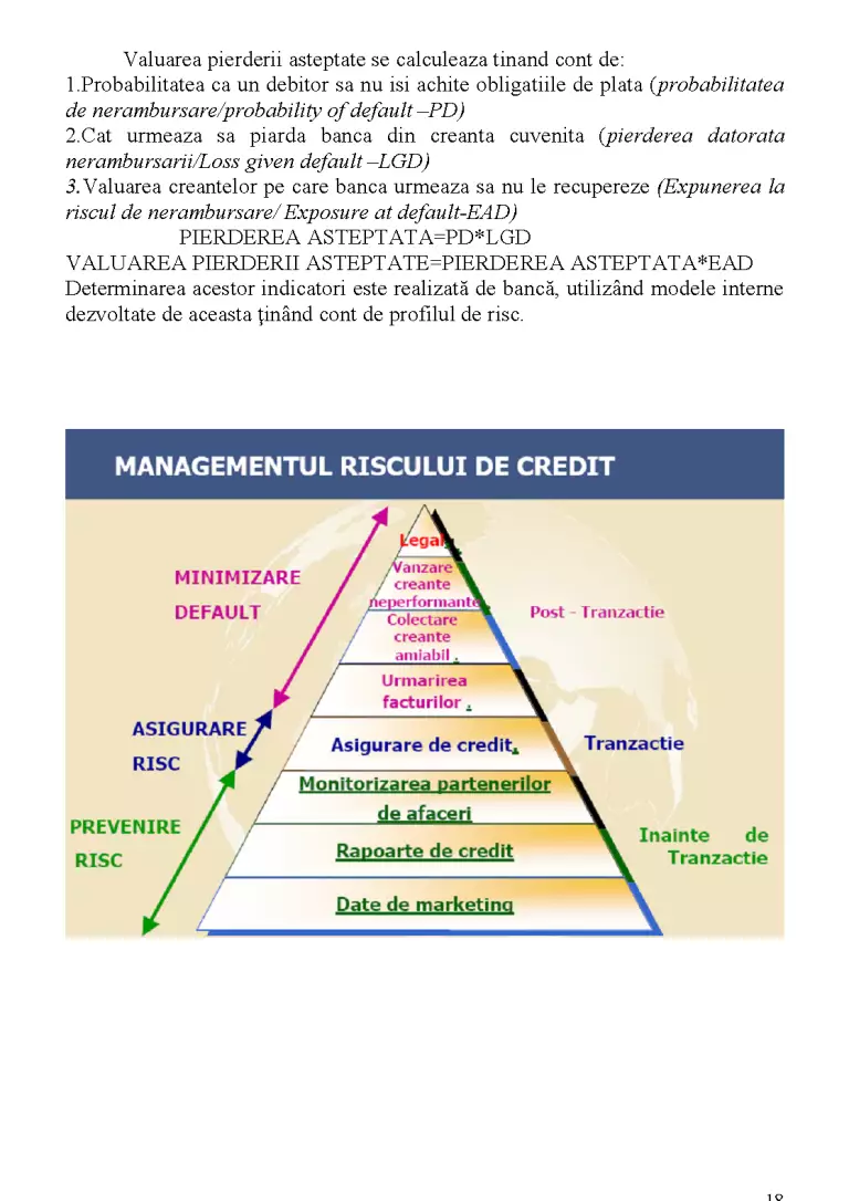 Managementul Riscului Managementul Riscului în Afaceri - Proiect - Management #11065 | RegieLive