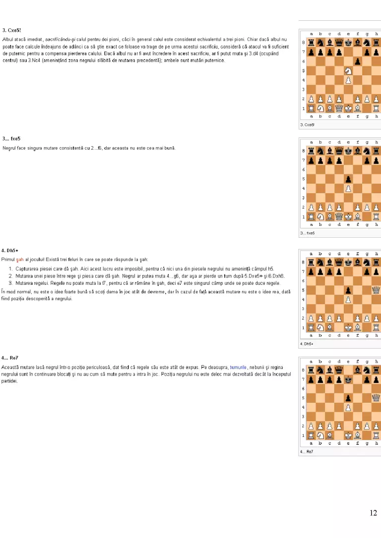 Interactive Chess Program - Software Testing - Proiect - Limbaje de ...