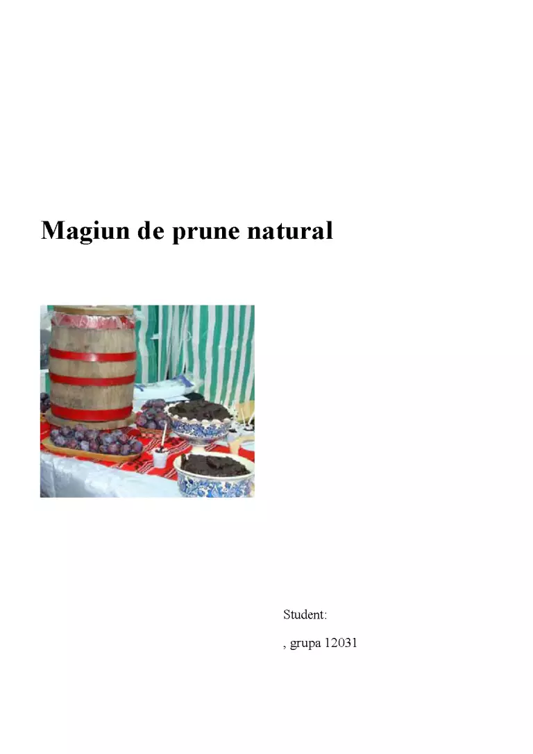 Magiun de Prune Natural - Proiect - Industria Alimentară #183359 ...