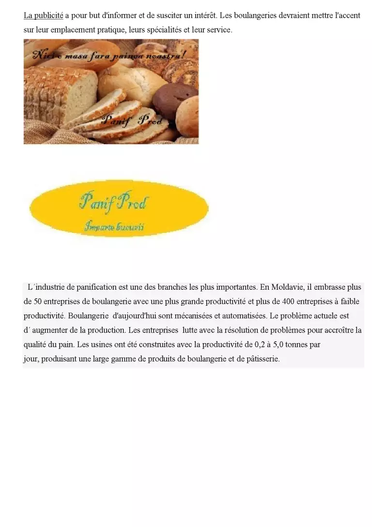 Le Plan D'affaire du Boulangerie Panif Prod - Proiect - Industria ...