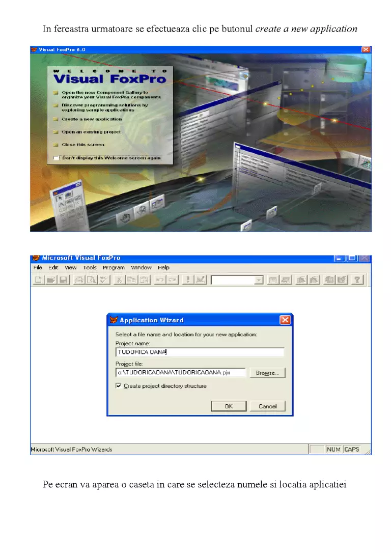 Visualforpro Microsoft Visual FoxPro - Proiect - Limbaje de Programare #32001 ...