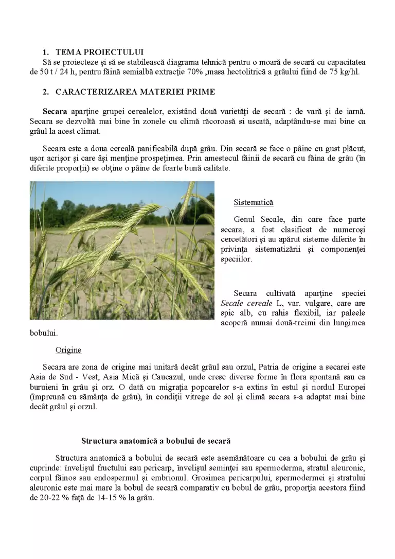 Morarit Morărit - Proiect - Industria Alimentară #322581 | RegieLive